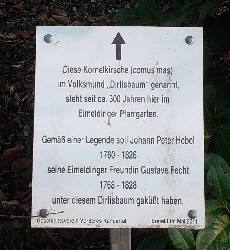 S-13a-Schild-Hebel-Kirsche