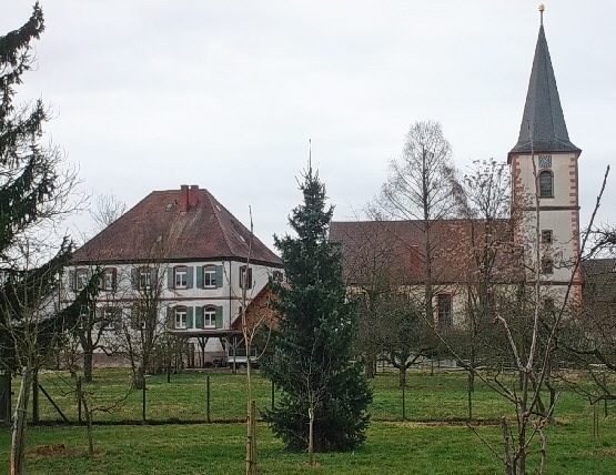 S 12d Kork Pfarrhaus mit Kirche